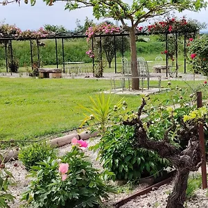 Hébergement de vacances En Provence Lavande, Modene